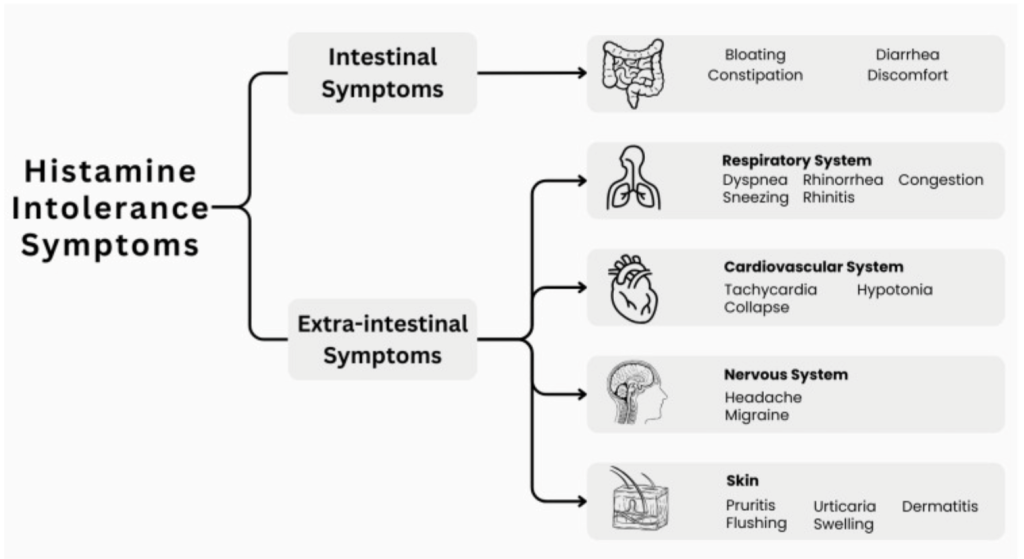 Estrogen, histamine, and perimenopause | NATURDAO