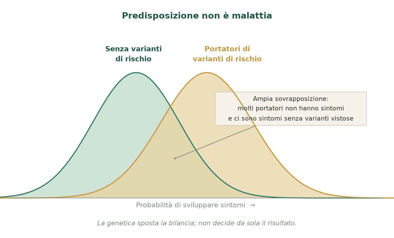 Predisposizione contro malattia. Una variante genetica sposta la probabilità, ma non decide da sola il risultato: contano anche l'ambiente, l'intestino e le abitudini.