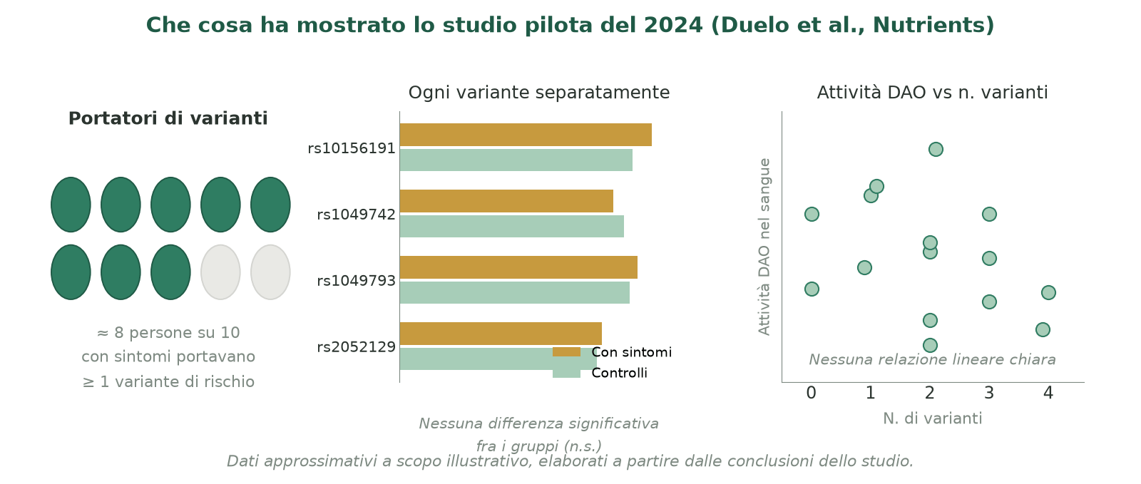 Risultati dello studio pilota del 2024: i portatori di varianti sono maggioranza tra i pazienti, ma nessuna variante isolata separa con chiarezza pazienti e controlli, e l'attività DAO non segue in modo lineare il numero di varianti.