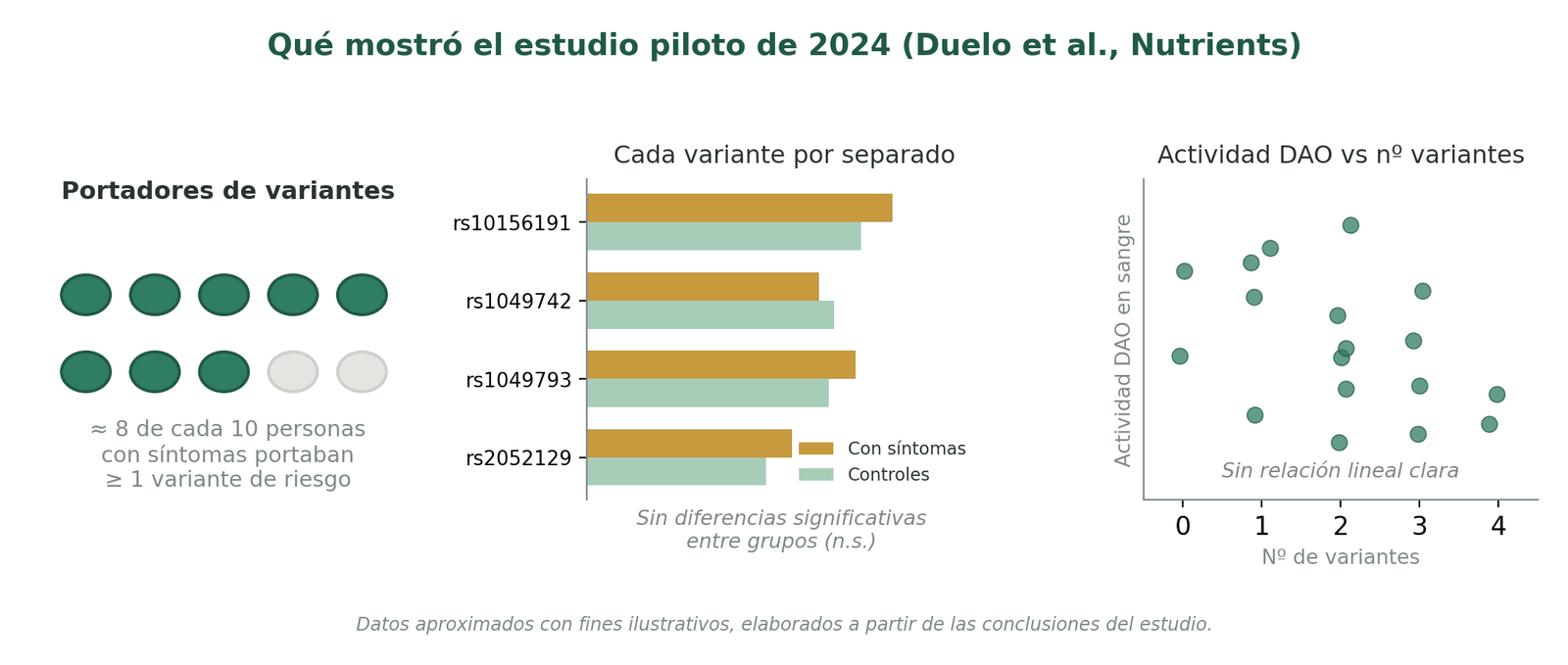 Resultados del estudio piloto de 2024: los portadores de variantes son mayoría entre los pacientes, pero ninguna variante aislada separa con claridad a pacientes de controles, y la actividad DAO no sigue de forma lineal al número de variantes.
