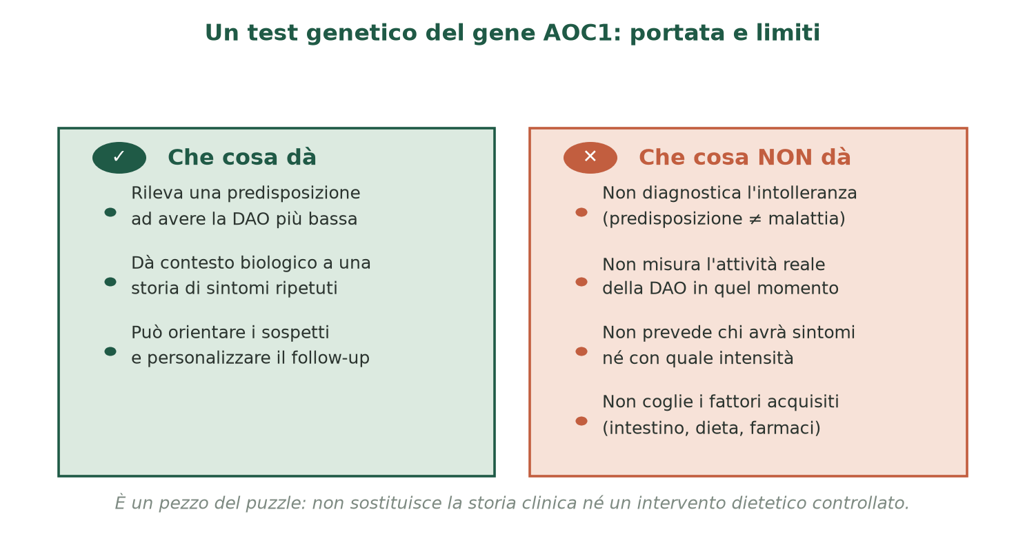 Che cosa dà e che cosa non dà un test genetico del gene AOC1.