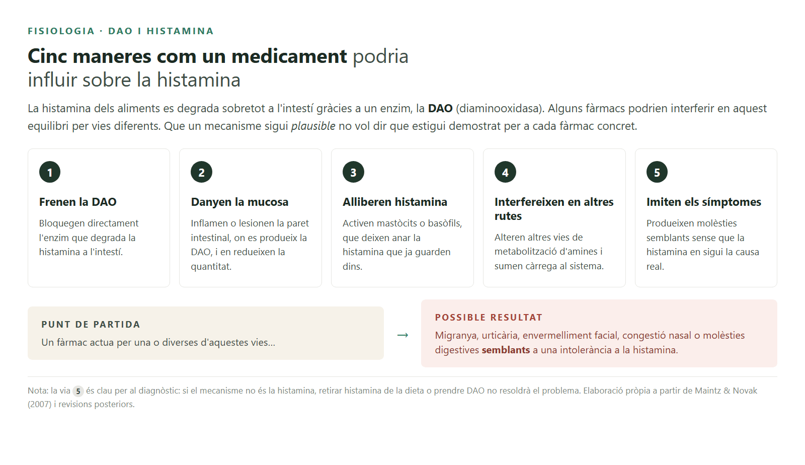 Cinc vies per les quals un medicament podria influir sobre la histamina.