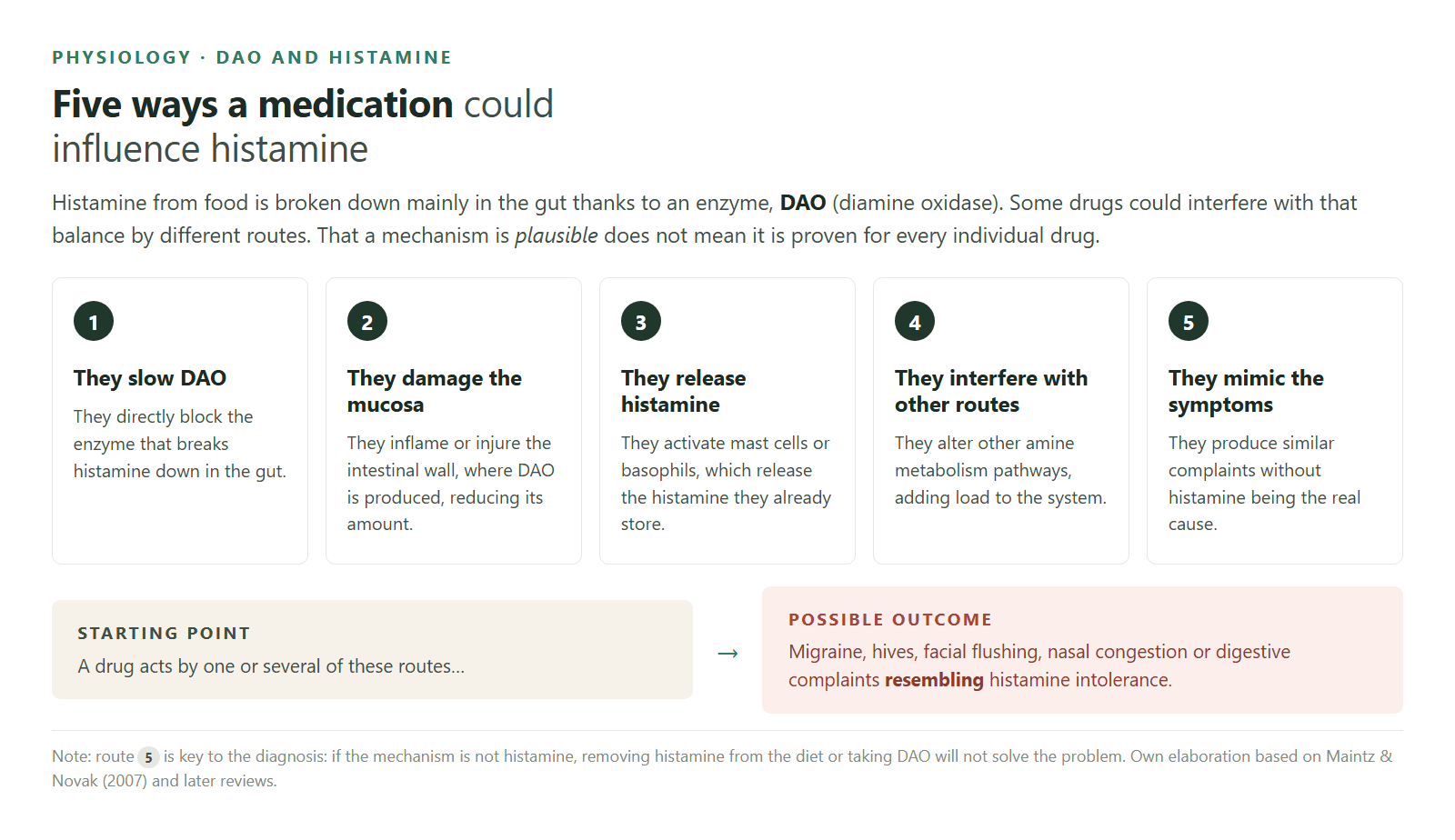 Five routes by which a medication could influence histamine.