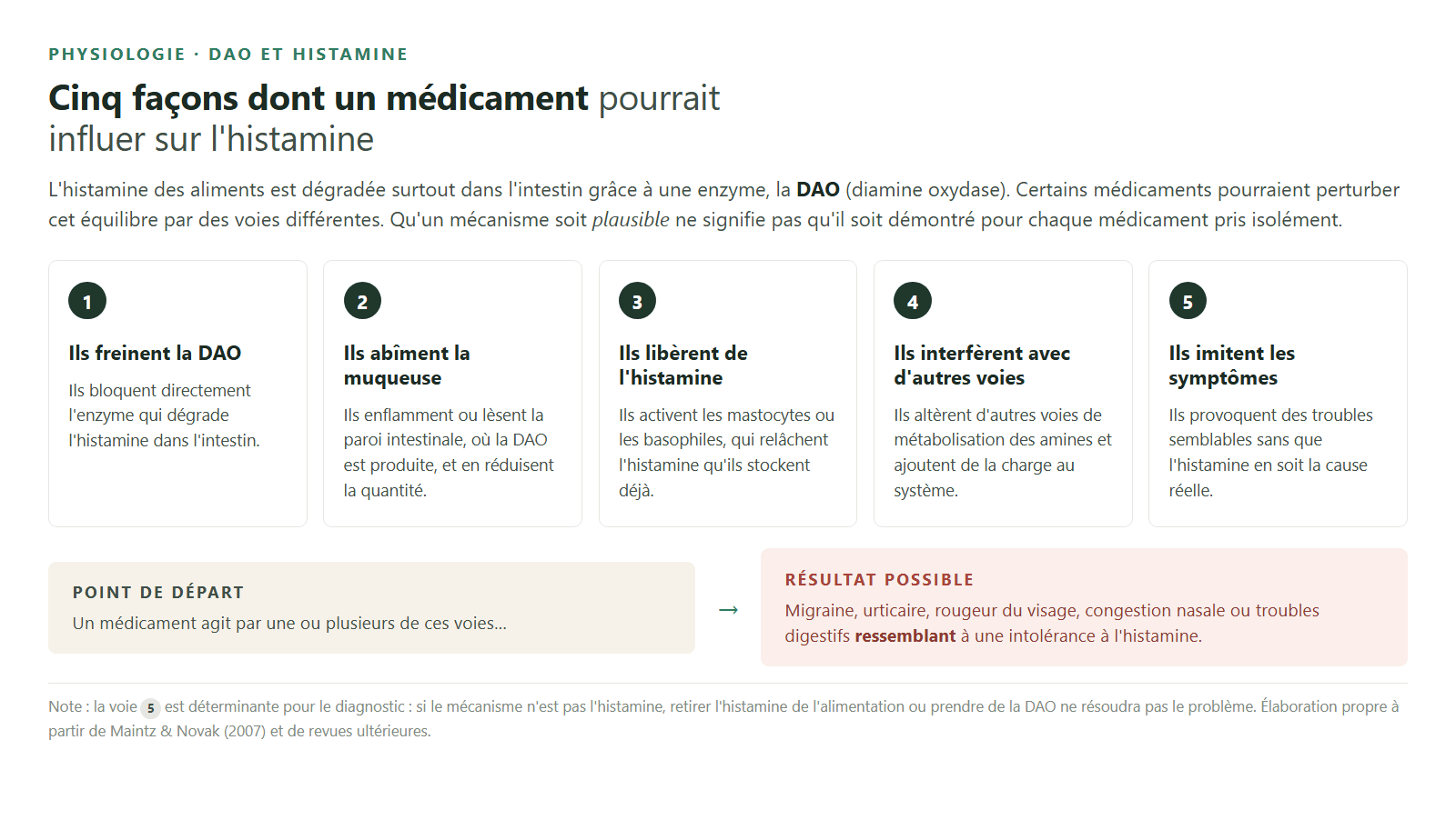 Cinq voies par lesquelles un médicament pourrait influer sur l'histamine.