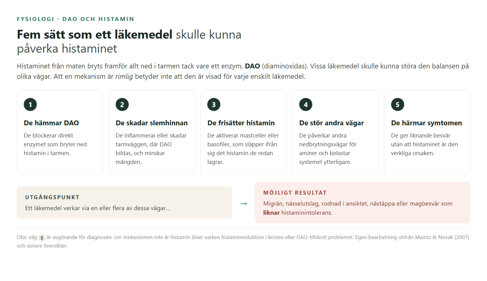 Fem vägar på vilka ett läkemedel skulle kunna påverka histaminet.