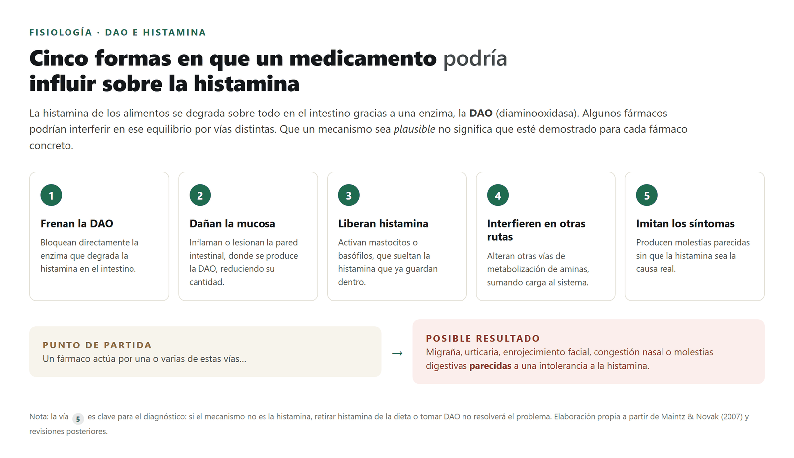 Cinco vías por las que un medicamento podría influir sobre la histamina.